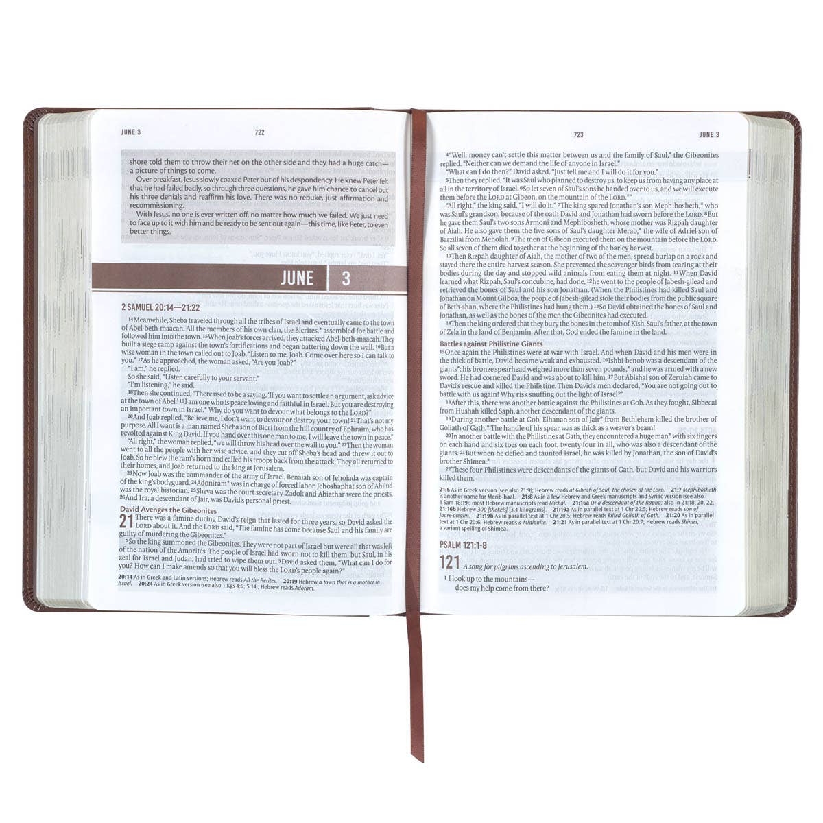 Christian Art Gifts - Devotional Bible NLT for Men Faux Leather, Chestnut Brown