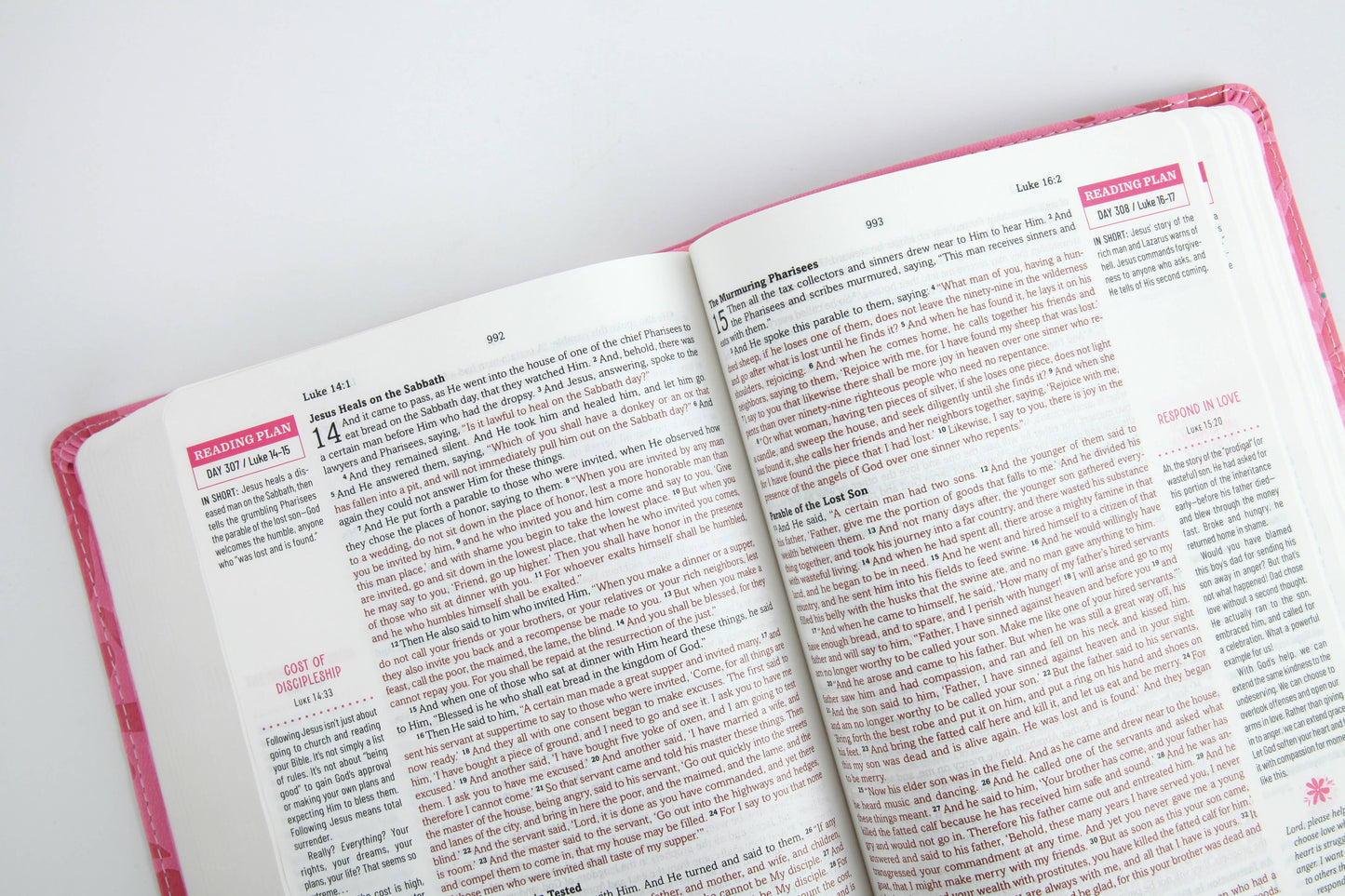 Barbour Publishing, Inc. - The Barbour Simplified KJV Bible for Teen Girls