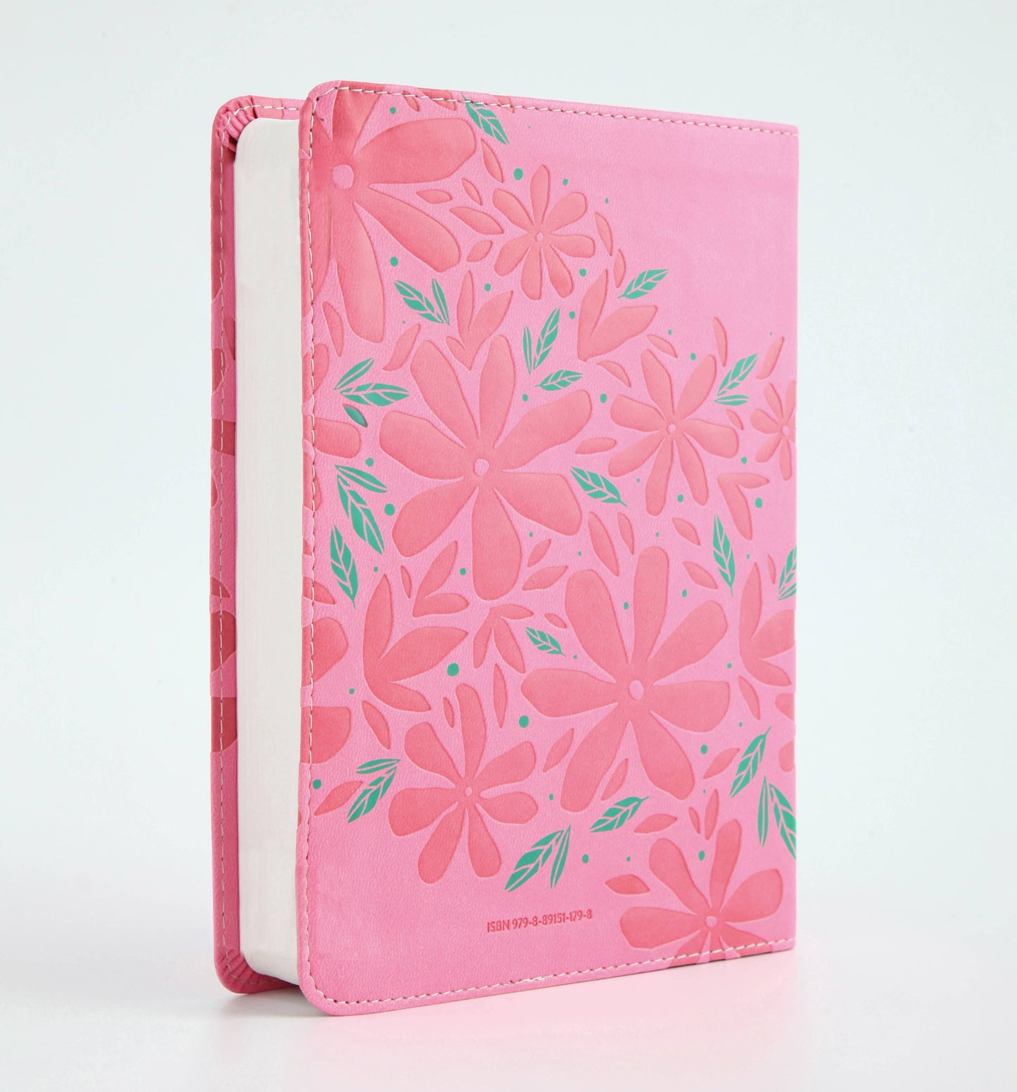 Barbour Publishing, Inc. - The Barbour Simplified KJV Bible for Teen Girls