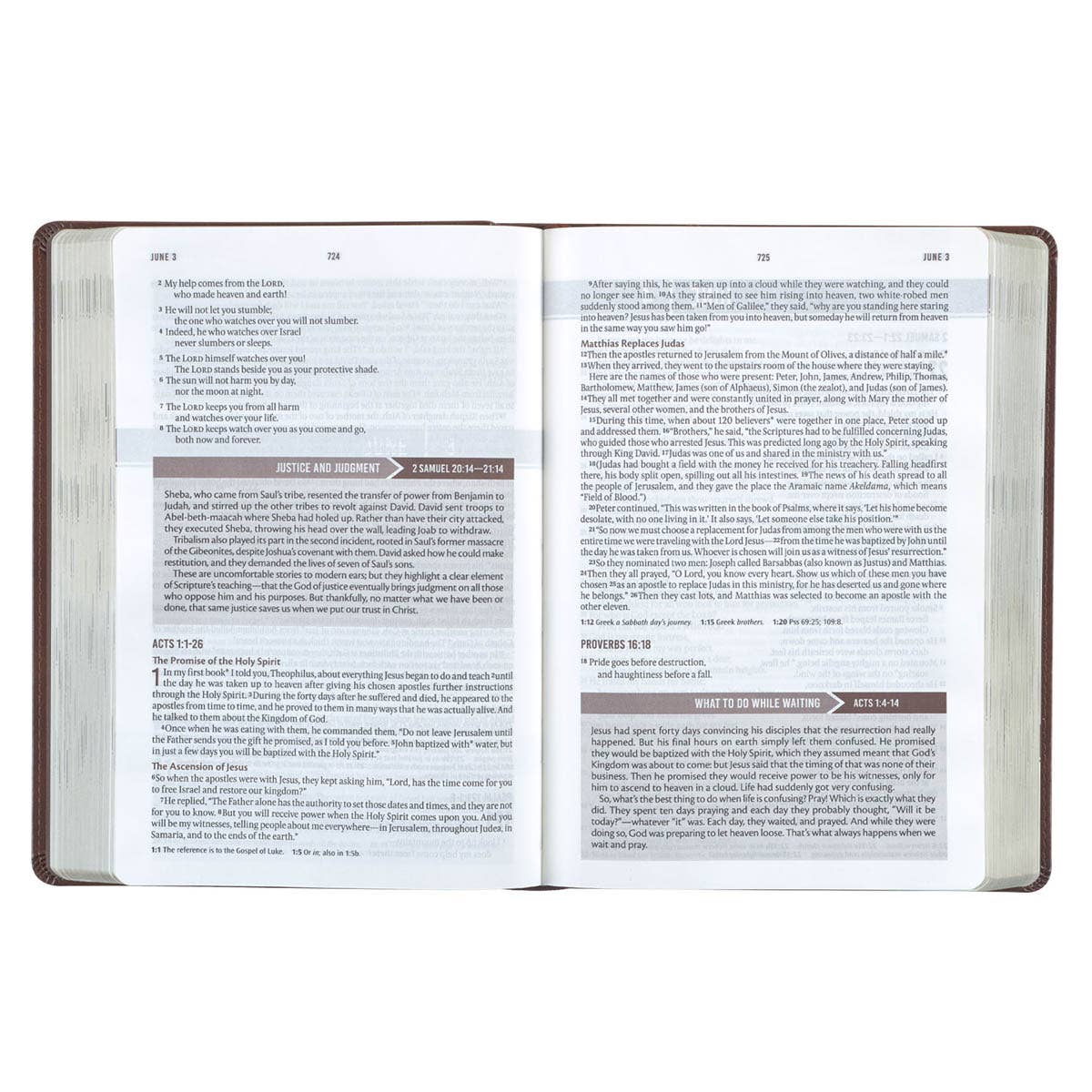 Christian Art Gifts - Devotional Bible NLT for Men Faux Leather, Chestnut Brown