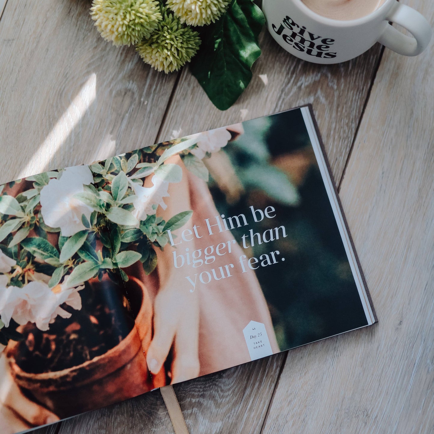The Daily Grace Co - Take Heart Devotional | Coffee Table Book