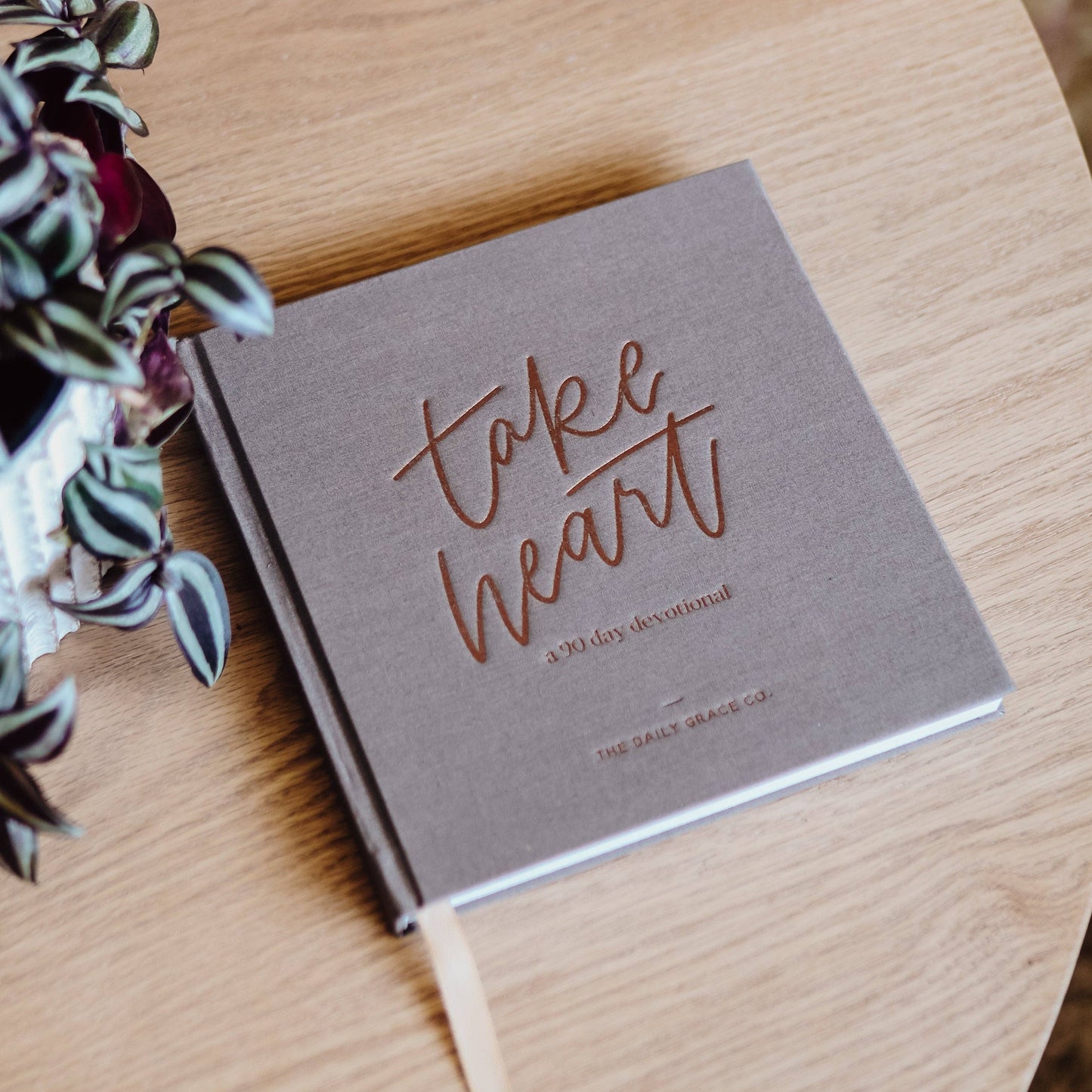 The Daily Grace Co - Take Heart Devotional | Coffee Table Book