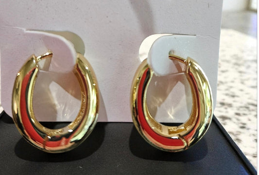 Small Gold-Plated Hoop Earrings