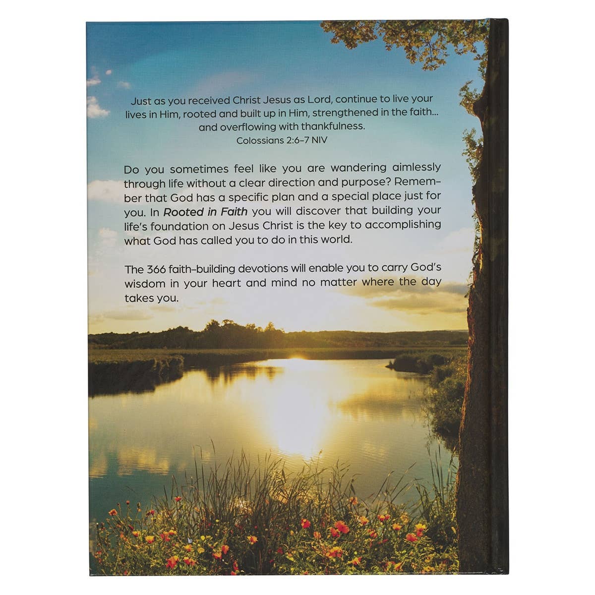 Christian Art Gifts - Devotional Rooted in Faith Hardcover