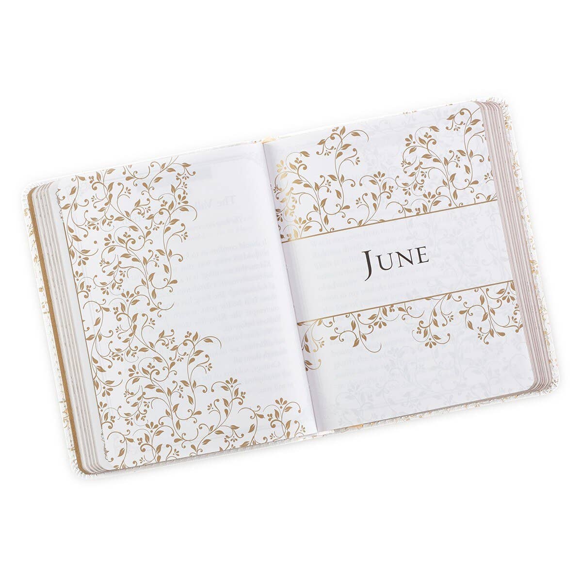 Christian Art Gifts - One-Minute Devotions Morning by Morning Faux Leather